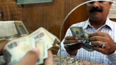 تحويلات-المصريين-بالخارج-تقفز-696%-إلى-32.8-مليار-دولار-خلال-11-شهرًا