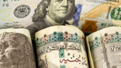 %827-ارتفاعاً-فى-تحويلات-المصريين-بالخارج-بإجمالى-26.4-مليار-دولار