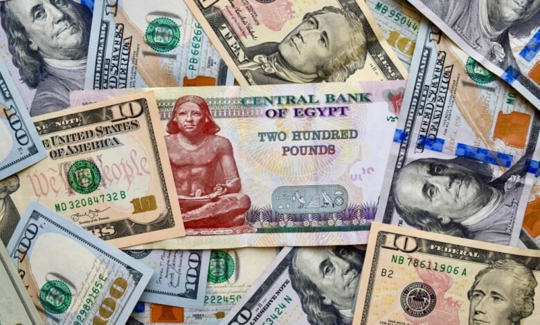 سعر-الدولار-خلال-تعاملات-بنوك-مصر-اليوم-الثلاثاء-22-يوليو-2025.-أدنى-49-جنيهًا