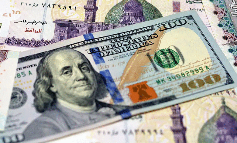 11.2-مليار-دولار-زيادة-في-تحويلات-المصريين-بالخارج-خلال-11-شهرًا