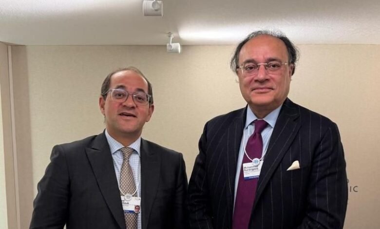 وزير-المالية:-مهتمون-بتعزيز-العلاقات-الثنائية-مع-باكستان-ودفع-مسار-التعاون