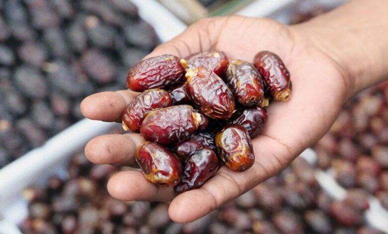 مصر-تراهن-على-التمور:-كيف-تتحرك-الشركات-لغزو-موائد-العالم؟