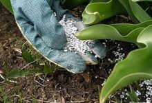 عمومية-“الدولية-للأسمدة”-تُقر-عقود-معاوضة-مع-شركتين