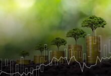 هل-تتسع-الفجوة-العالمية-فى-التمويل-الأخضر؟