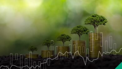 هل-تتسع-الفجوة-العالمية-فى-التمويل-الأخضر؟