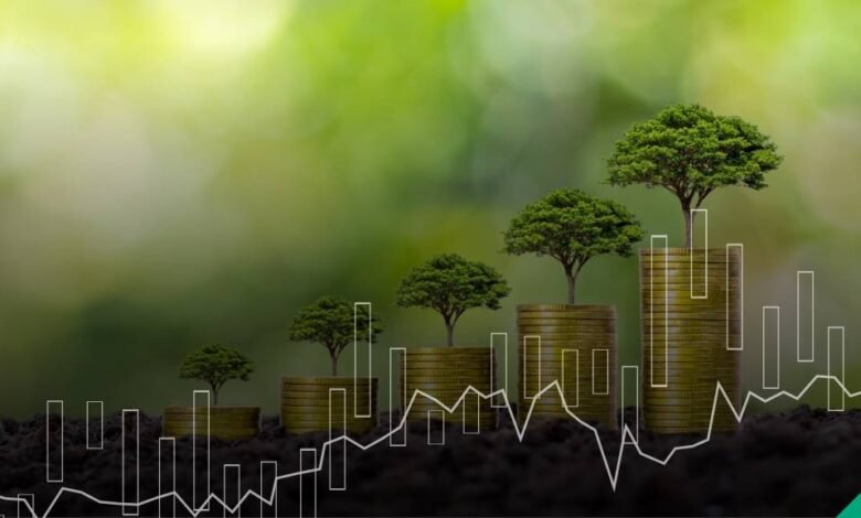 هل-تتسع-الفجوة-العالمية-فى-التمويل-الأخضر؟