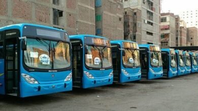«نقل-القاهرة»-تطرح-حق-الاستغلال-الإعلانى-لـ28-أتوبيسًا-على-القطاع-الخاص