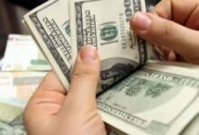 الدولار-يرتفع-إلى-48-جنيهًا-وسط-تخارج-أجنبي-وضغوط-استيرادية