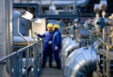 الحكومة-توسع-قاعدة-الأنشطة-الصناعية-المستفيدة-من-حوافز-الاستثمار