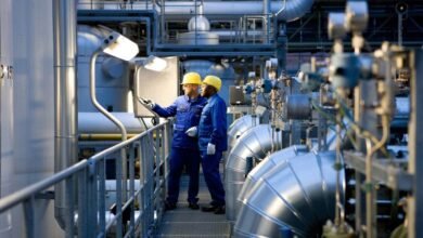 الحكومة-توسع-قاعدة-الأنشطة-الصناعية-المستفيدة-من-حوافز-الاستثمار