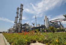 شركات-الأسمدة-تطلب-اجتماعًا-عاجلًا-مع-«البترول»-لتأمين-إمدادات «الغاز»