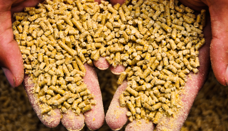 الأعلاف-المصرية.-رهان-الإنتاج-المحلى-فى-مواجهة-الأزمات-العالمية