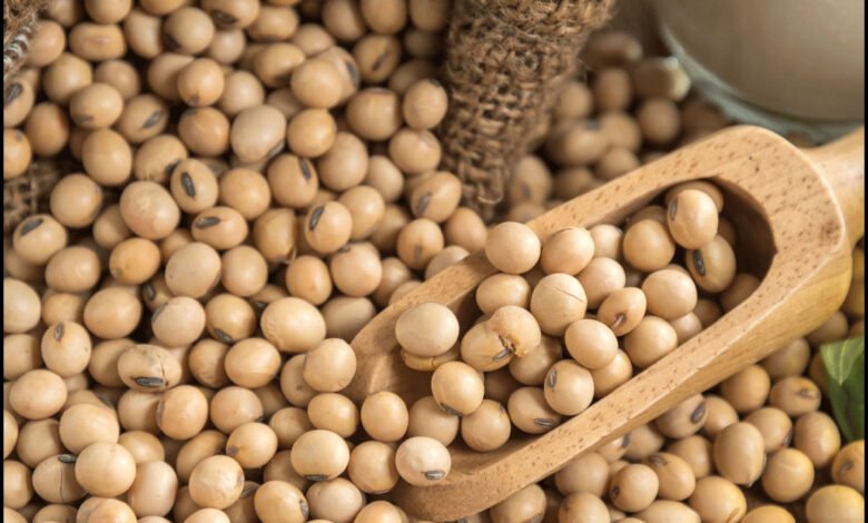 فول-الصويا-يتراجع-مع-احتمال-تأجيل-قمة-ترمب-وشي