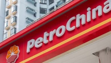 بتروتشاينا-تثبت-سقف-أسعار-الغاز-لحماية-المستهلكين-من-صدمة-الطاقة