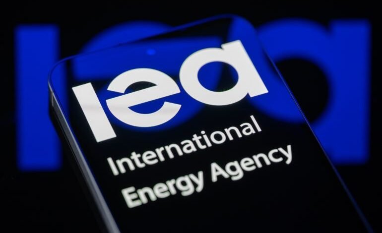 وكالة-الطاقة-الدولية-تعلن-عن-تدابير-للحكومات-والشركات-والأسر-للحد-من-استهلاك-الطاقة