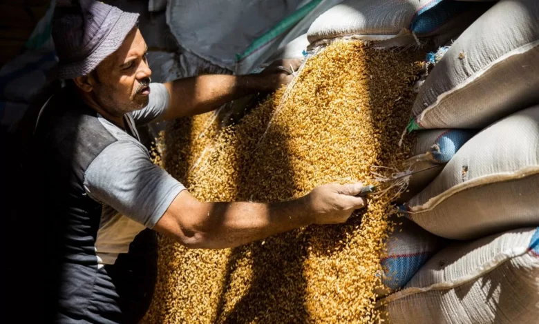 “الزراعة”-تستهدف-توريد-5-ملايين-طن-قمح-الموسم-الحالي