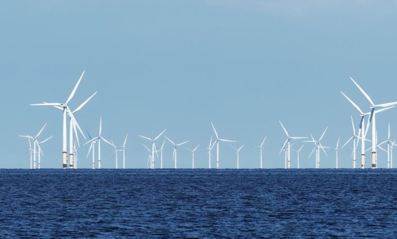 البيت-الأبيض-يدفع-مليار-دولار-لـ”توتال”-بفعل-إلغاء-مشروعات-رياح-بحرية