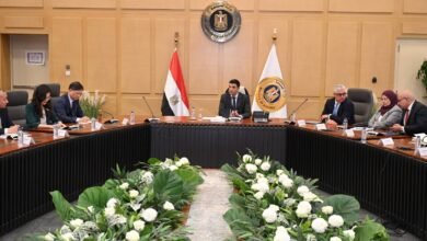 “باوو”-الصينية-تتطلع-لتعزيز-تعاونها-مع-الحكومة-المصرية-في-صناعة-الحديد