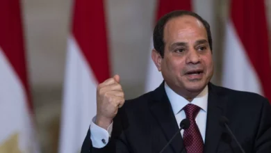 “السيسي”:-ضرورة-حماية-الاقتصاد-المصري-من-الممارسات-الضارة-بالتجارة-الدولية