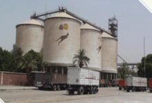 “مطاحن-الإسكندرية”-تستهدف-ربح-40-مليون-جنيه-بموازنة-2026-2027