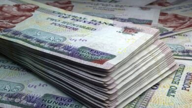 دفاعات-البنوك-تهدد-طموحات-الشركات.-كيف-تجري-هيكلة-أولويات-الإقراض؟