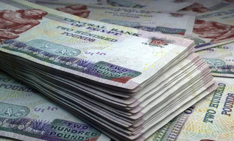 دفاعات-البنوك-تهدد-طموحات-الشركات.-كيف-تجري-هيكلة-أولويات-الإقراض؟