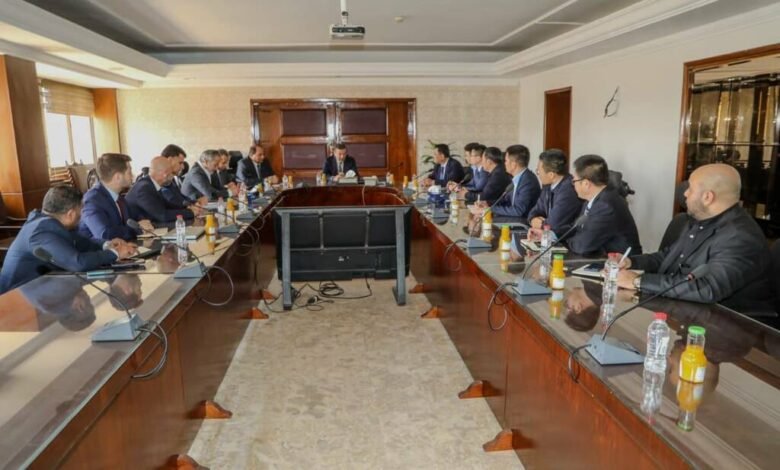 مباحثات-مصرية-صينية-لزيادة-الاستثمارات-الصناعية-ونقل-التكنولوجيا