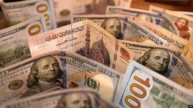 احتياطي-النقد-الأجنبي-لمصر-يرتفع-إلى-53-مليار-دولار-بنهاية-أبريل