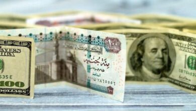 تحسن-السيولة-الدولارية-يعزز-قوة-الجنيه