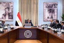 مدبولى-يلتقى-رئيس-شركة-الصين-لهندسة-الطاقة-المحدودة-لبحث-التعاون-المشترك