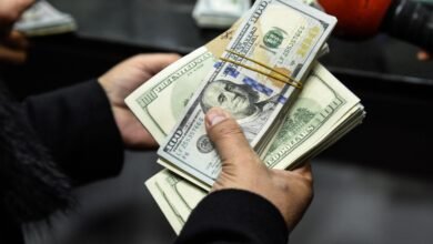 15.6%-نمواً-في-تحويلات-المصريين-بالخارج-خلال-يونيو-الماضي