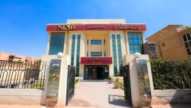 بنك-ناصر-يرفع-الحد-الأقصى-لتمويل-الحضانات-القائمة