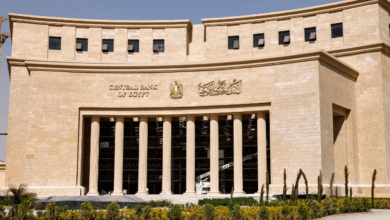 البنك-المركزي:-الإجراءات-الأمريكية-تقتصر-على-معاملات-فرع-بنك-مصر-بالإمارات-بالدولار