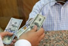 سعر-الدولار-في-مصر-اليوم-الاثنين-14/9/2026.-قرب-52-جنيهًا-بالختام