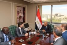 وزير-الكهرباء-يبحث-مع-وفد-المنظمة-الدولية-للمواصفات-الكهروتقنية-تعزيز-التعاون