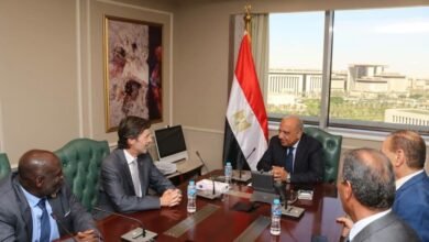 وزير-الكهرباء-يبحث-مع-وفد-المنظمة-الدولية-للمواصفات-الكهروتقنية-تعزيز-التعاون