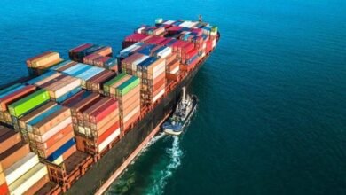 الإحصاء:-ارتفاع-صادرات-مصر-إلى-ماليزيا-13.3%-خلال-8-أشهر