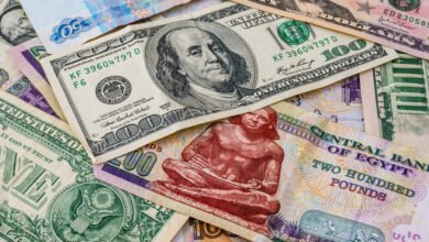 ميزان-المدفوعات-المصري-يتحول-إلى-فائض-2.8-مليار-دولار-خلال-2025-2026